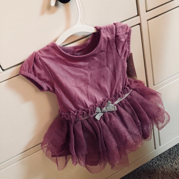 Cat and jack - Picture 1 of 2